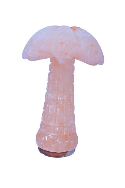 Dates tree salt lamp